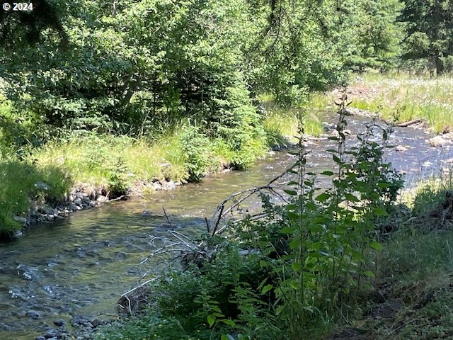 62254 Wallowa Mtn Loop Road Joseph, OR 97846 - Photo 23 of 35 a view of a tree in a yard