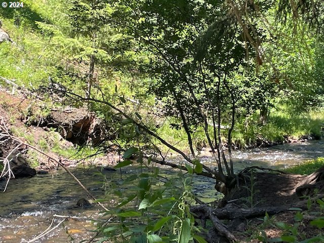 62254 Wallowa Mtn Loop Road Joseph, OR 97846 - Photo 25 of 35 a backyard of a house with lots of green space