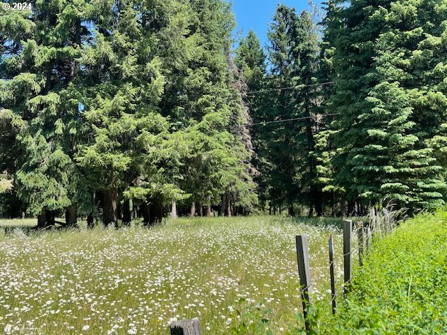 62254 Wallowa Mtn Loop Road Joseph, OR 97846 - Photo 27 of 35 a view of a garden