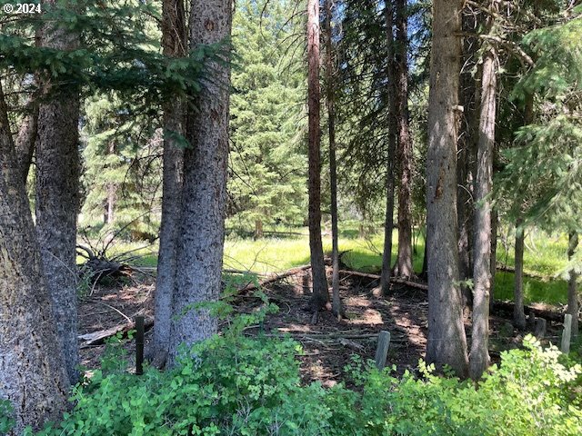 62254 Wallowa Mtn Loop Road Joseph, OR 97846 - Photo 28 of 35 a view of a backyard with trees