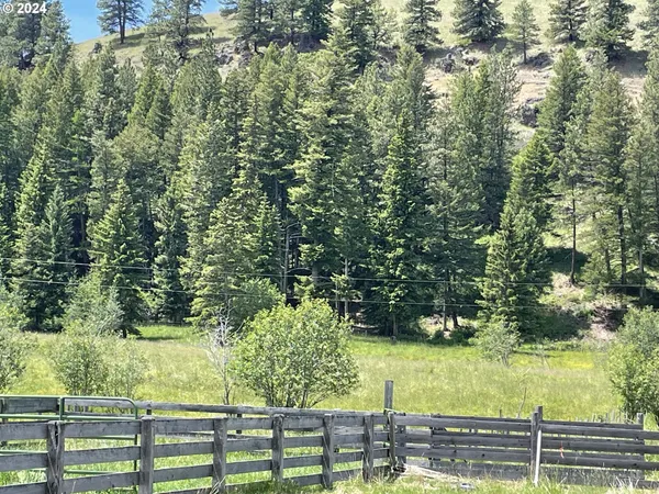a view of a yard