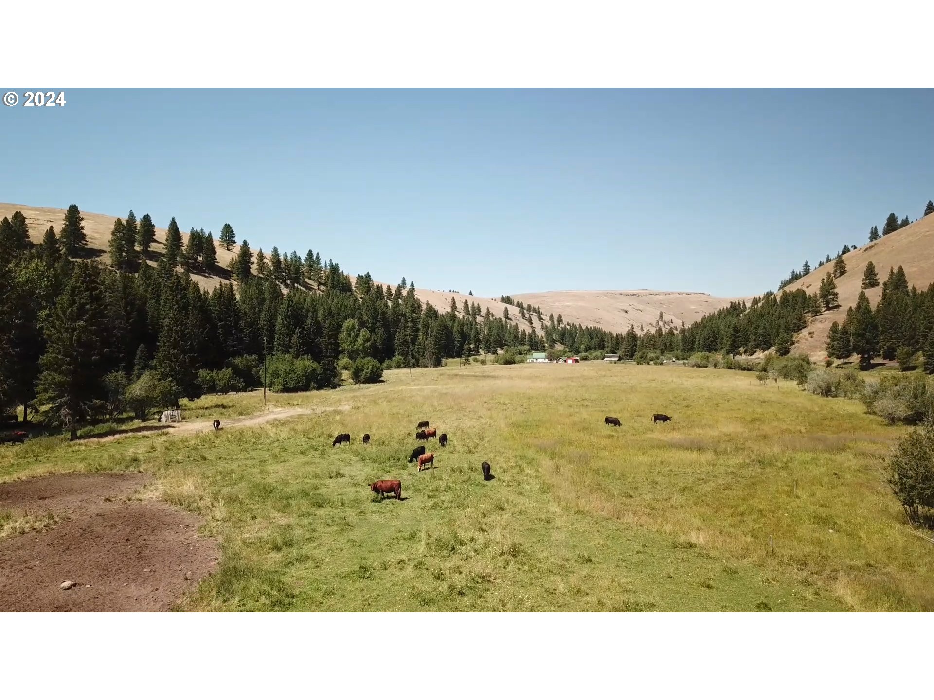 62254 Wallowa Mtn Loop Road Joseph, OR 97846 - Photo 7 of 35