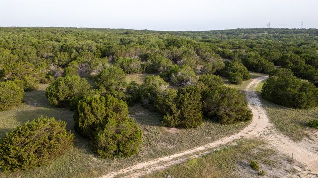 a view of a big yard with lots of trees