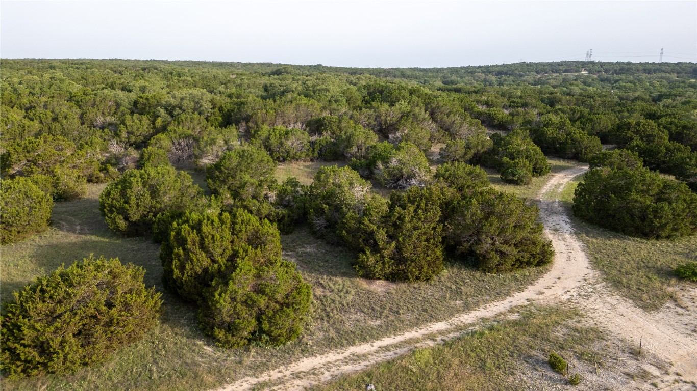 14274 Crows Ranch Road Salado, TX 76571 - Photo 14 of 14 a view of a big yard with lots of trees
