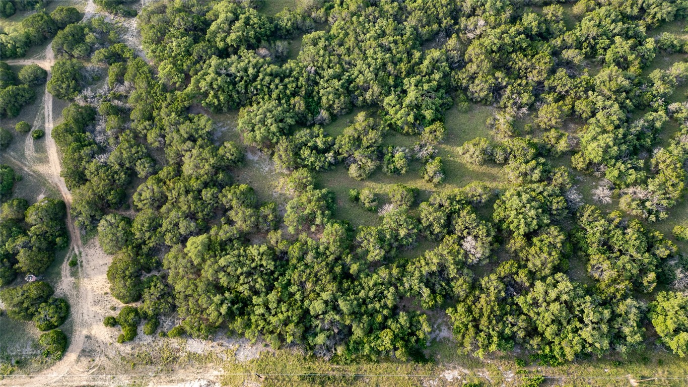14274 Crows Ranch Road Salado, TX 76571 - Photo 10 of 14 a view of a yard