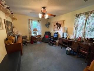 4227 West Farmers Avenue Amarillo, TX 79110 - Photo 45 of 46 IMG_2670