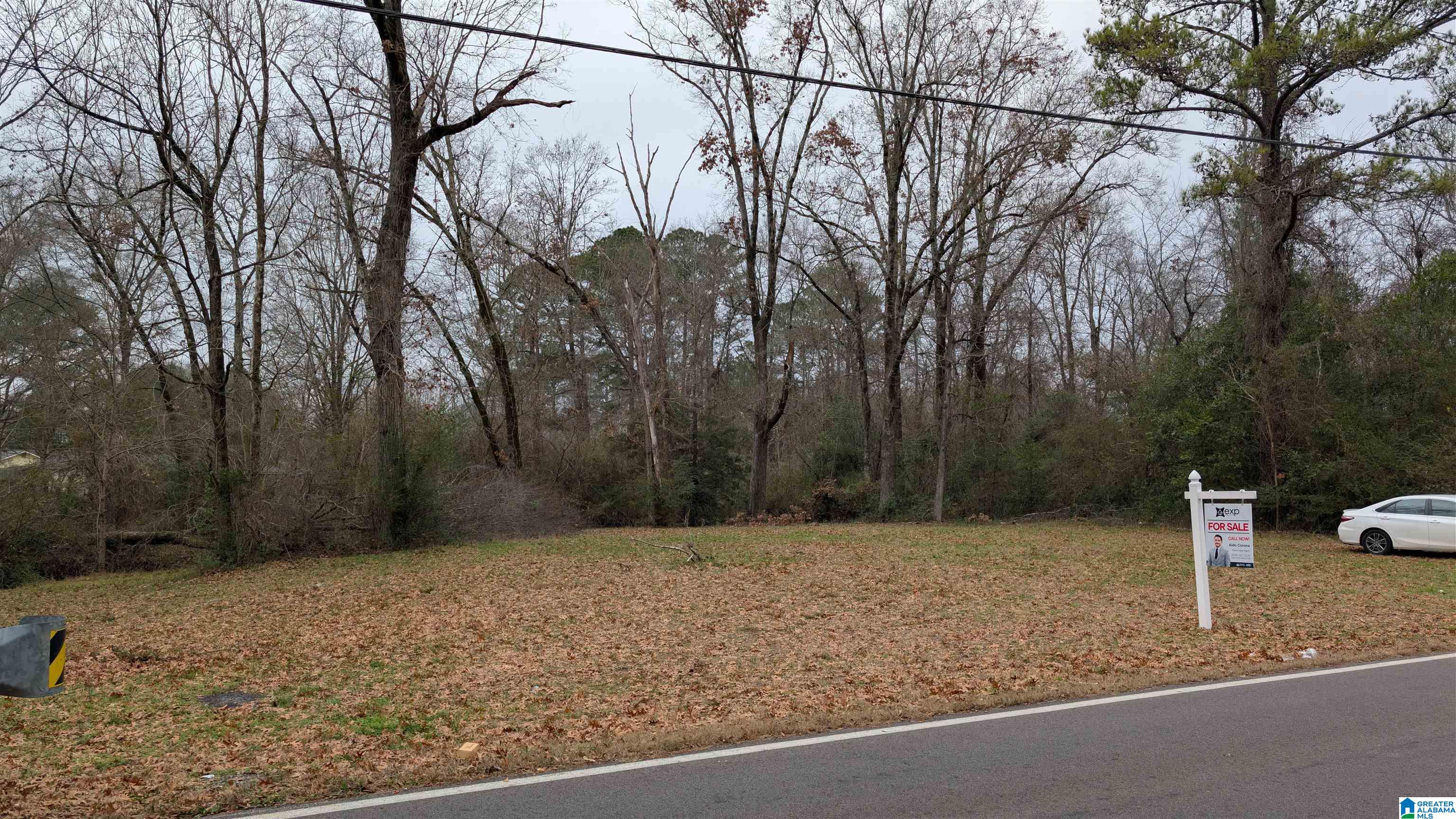 2210 20th Street, Unit 1 Calera, AL 35040 - Photo 3 of 4