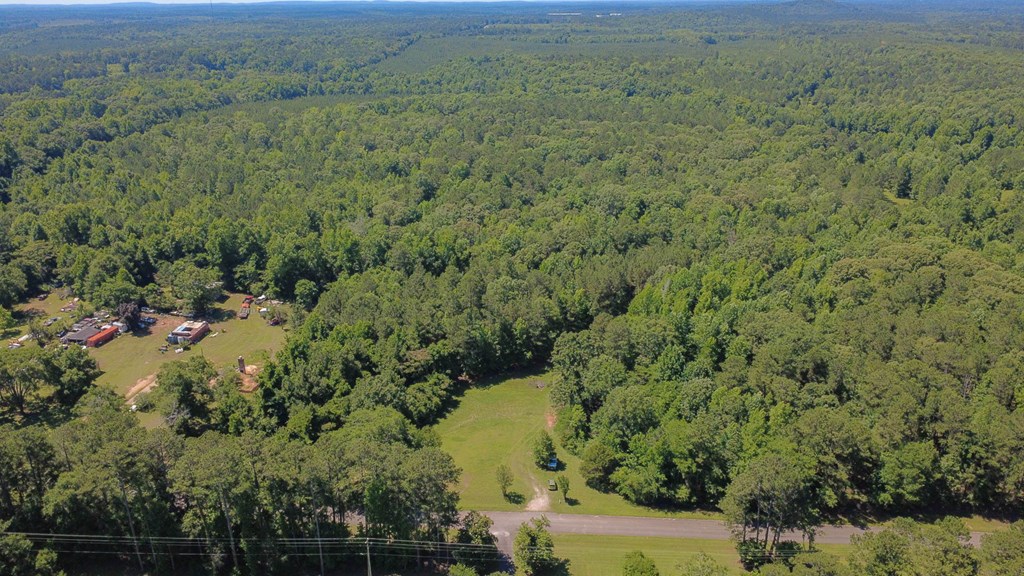 231 Lower Lovelace Road West Point, GA 31833 - Photo 14 of 49