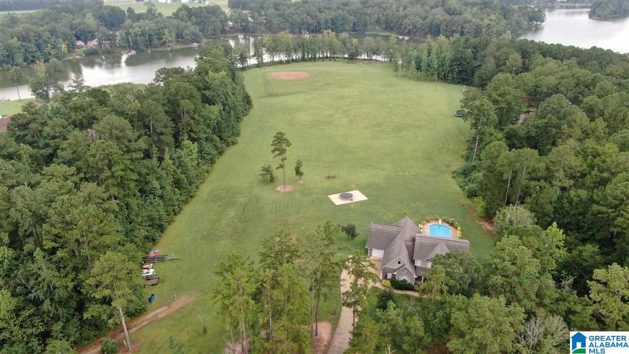 0 Blue Springs Road Lincoln, AL 35096 - Photo 10 of 22