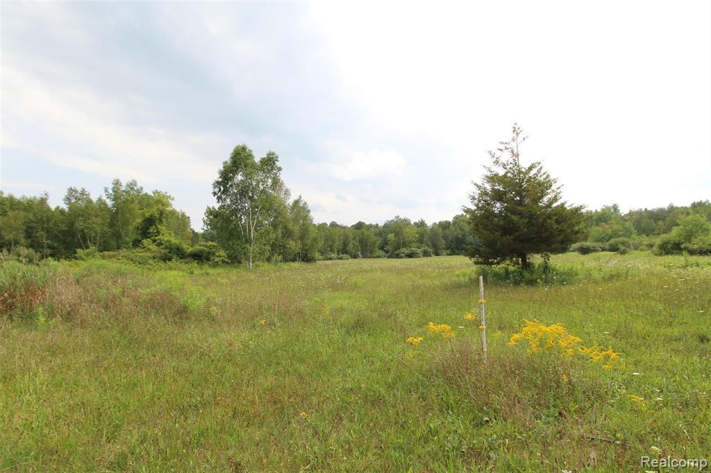 3590 James Road Caro, MI 48723 - Photo 50 of 65