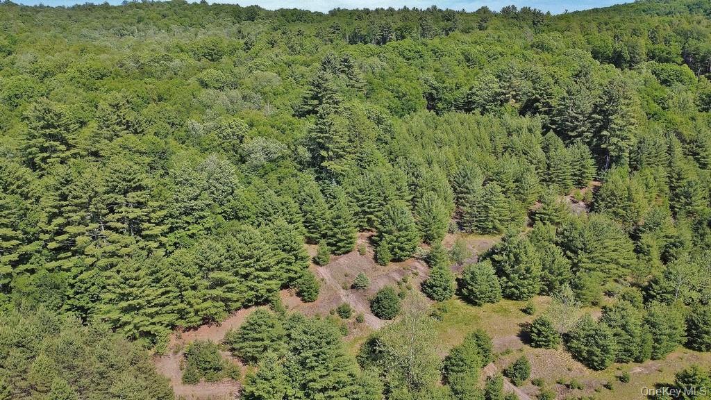 Marsh Road Fallsburg, NY 12733 - Photo 19 of 20