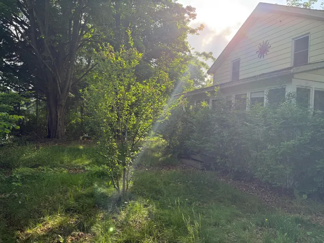 a backyard of a building