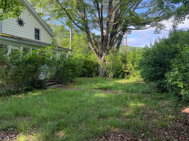 a view of a back yard