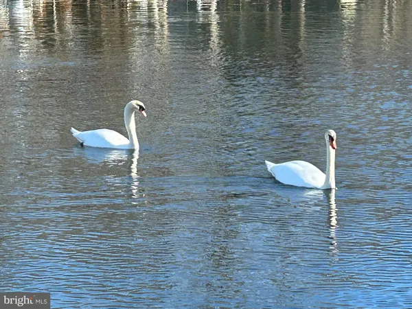 a bedroom with a bed and a view of residential buildings