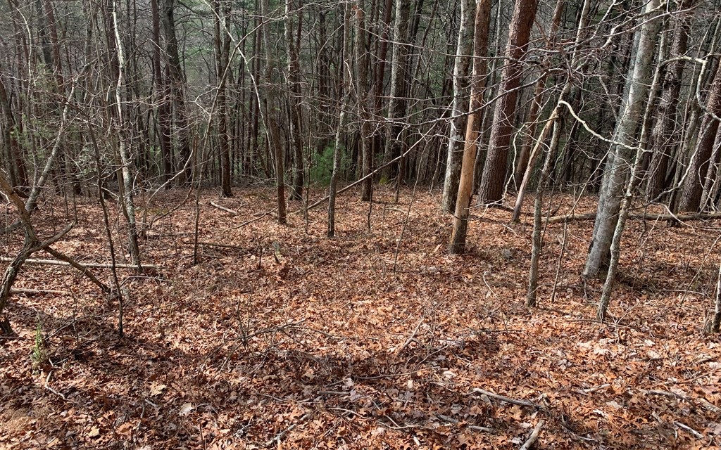 Lot20 Wolf Ridge Lane Murphy, NC 28906 - Photo 13 of 17 Additional View