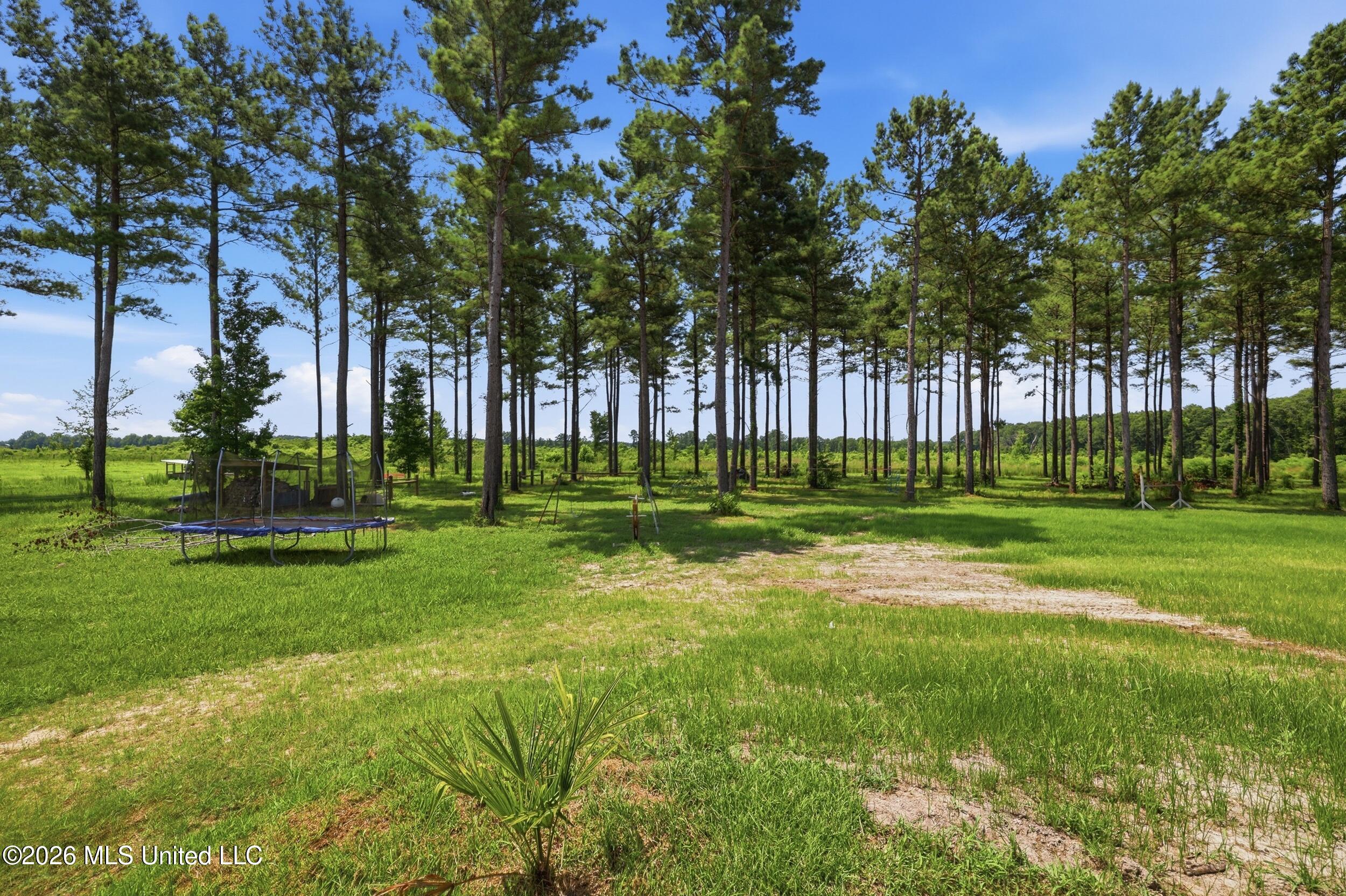 646 Myrick Strengthford Road Laurel, MS 39443 - Photo 97 of 119 97_r6__5757
