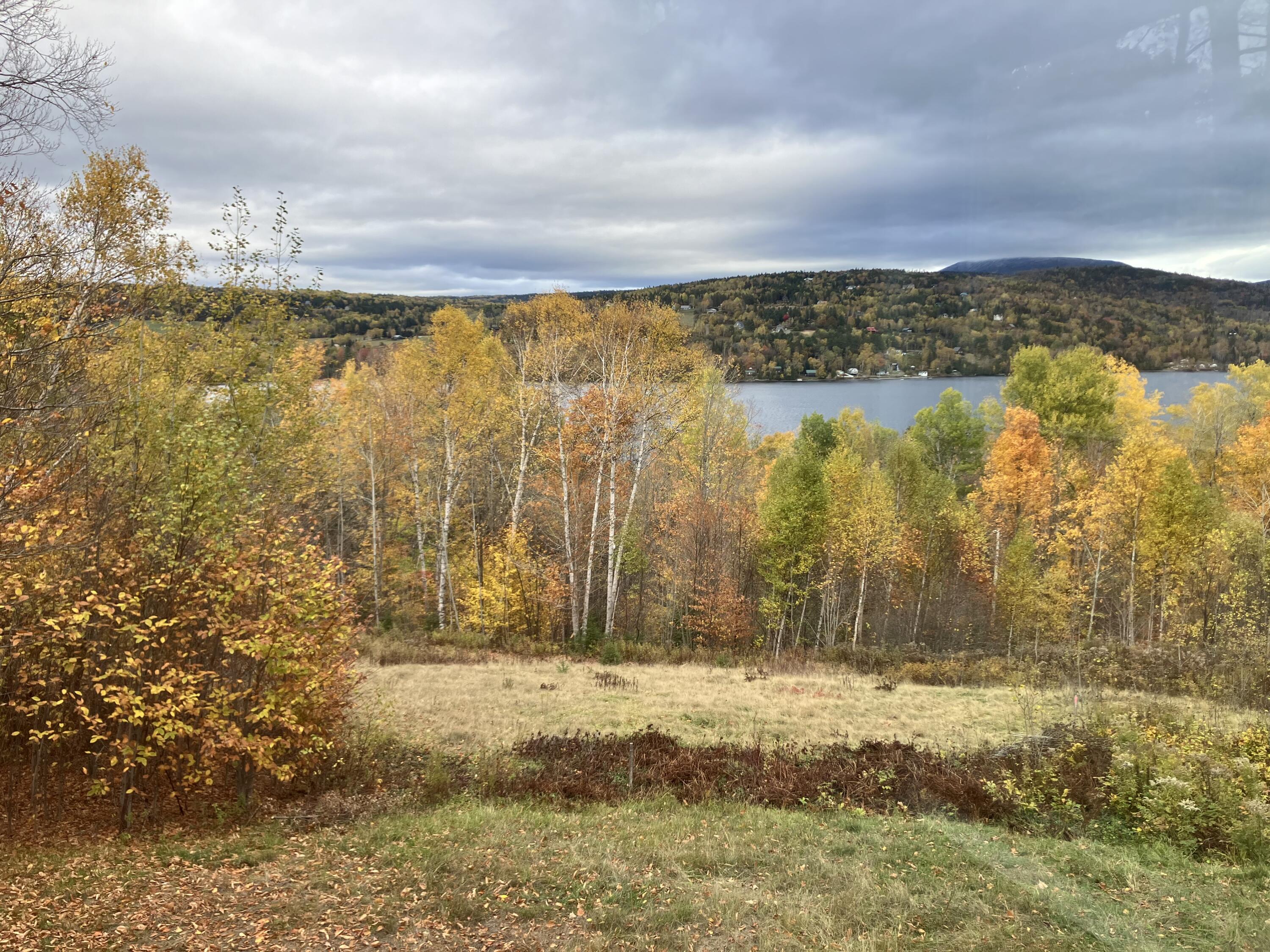19 Curley Road Rangeley, ME 04970 - Photo 51 of 56 IMG_8259