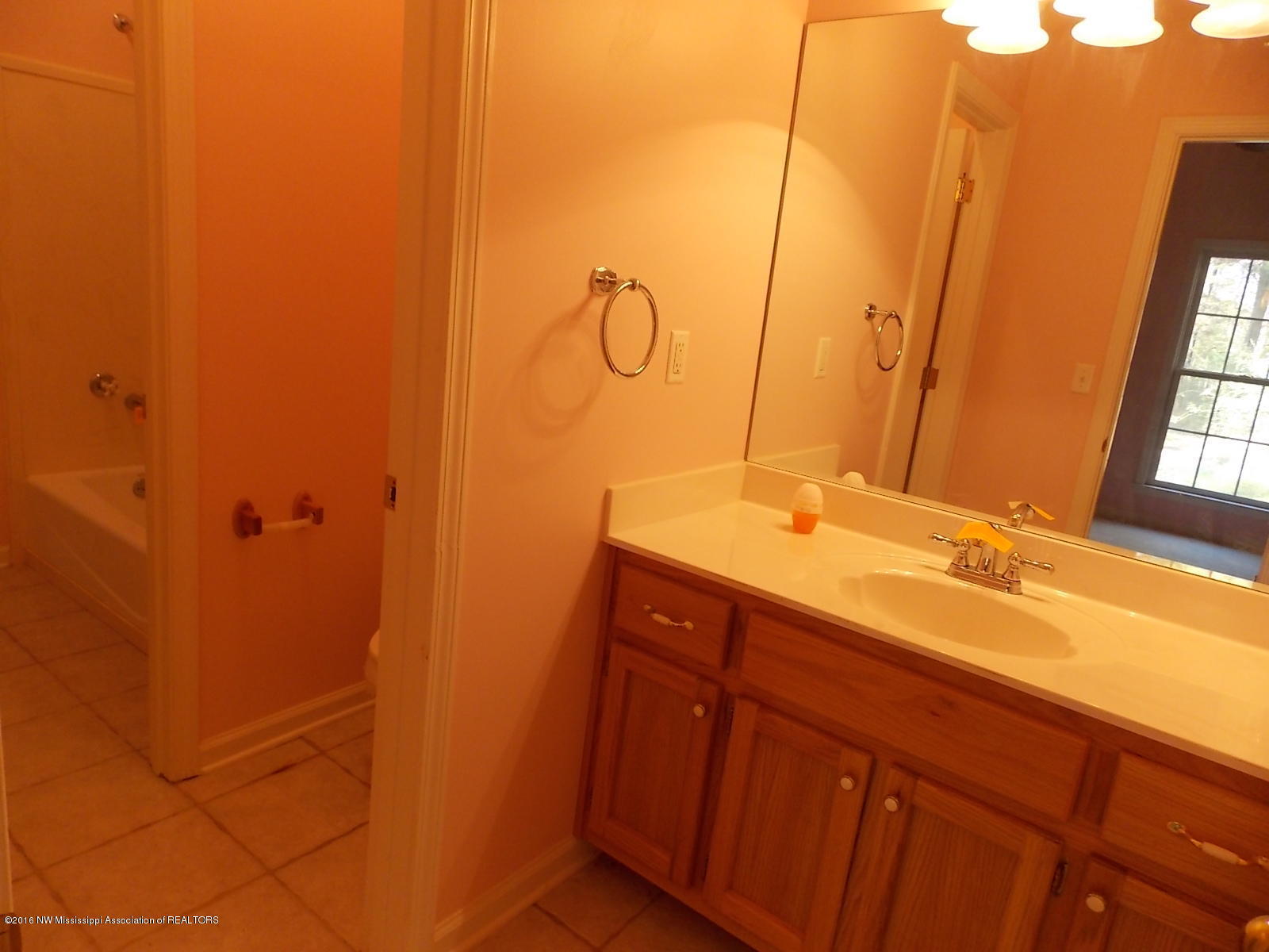 1430 Rabbit Ridge Road Red Banks, MS 38661 - Photo 14 of 20 DSCN7259