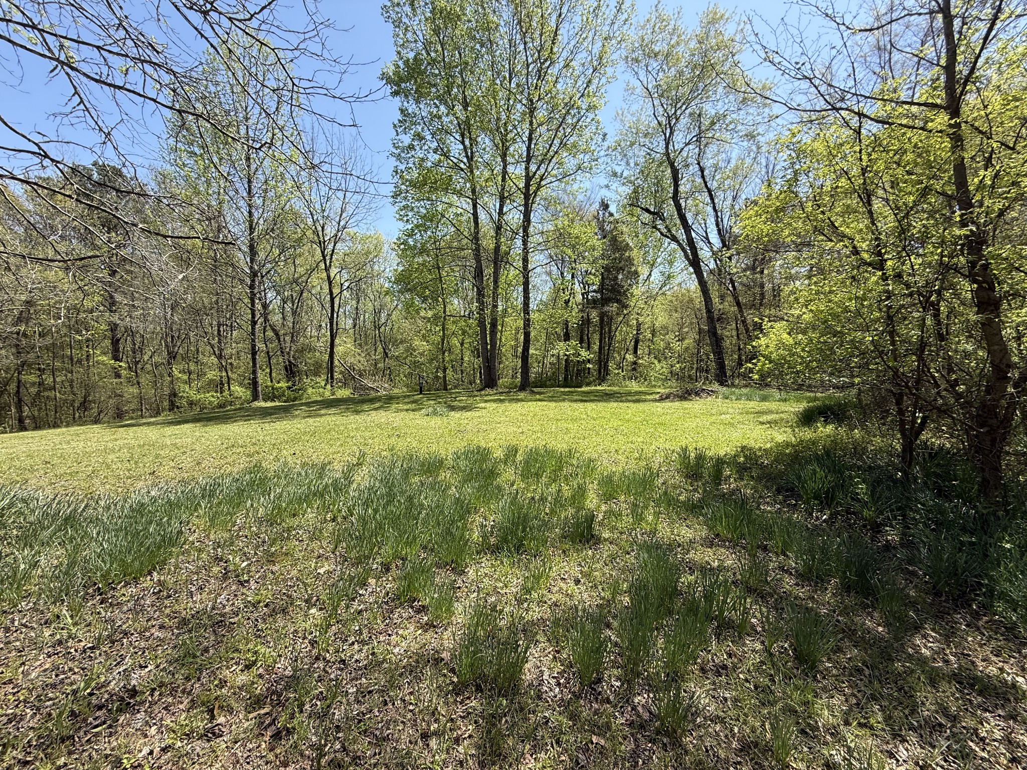 534 Whitney Branch Road Springville, TN 38256 - Photo 61 of 61 Gallery Image 61