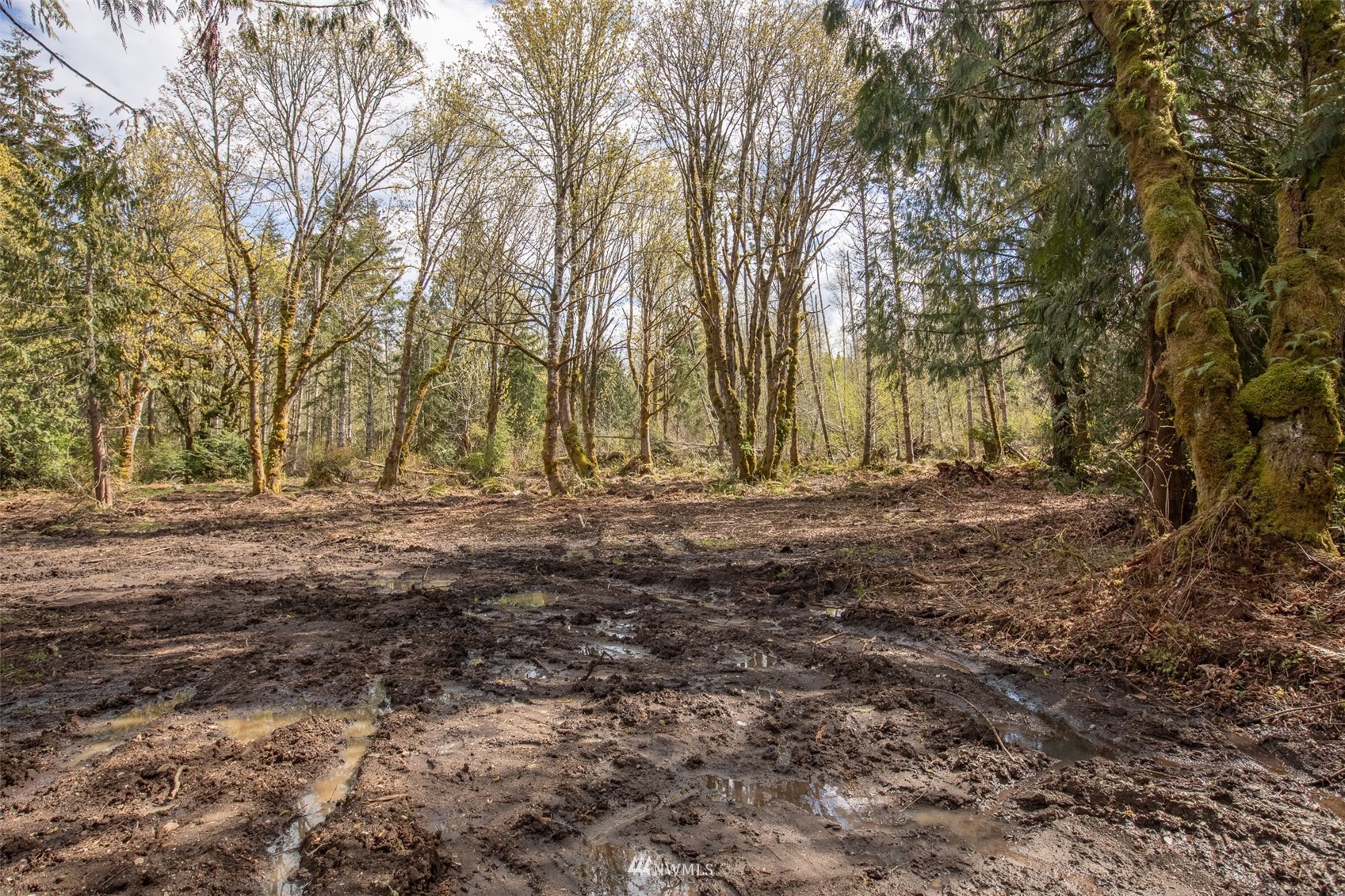 8 Lawrence Pointe Rd Port Port Angeles, WA 98363 - Photo 2 of 11 Gallery Image 2