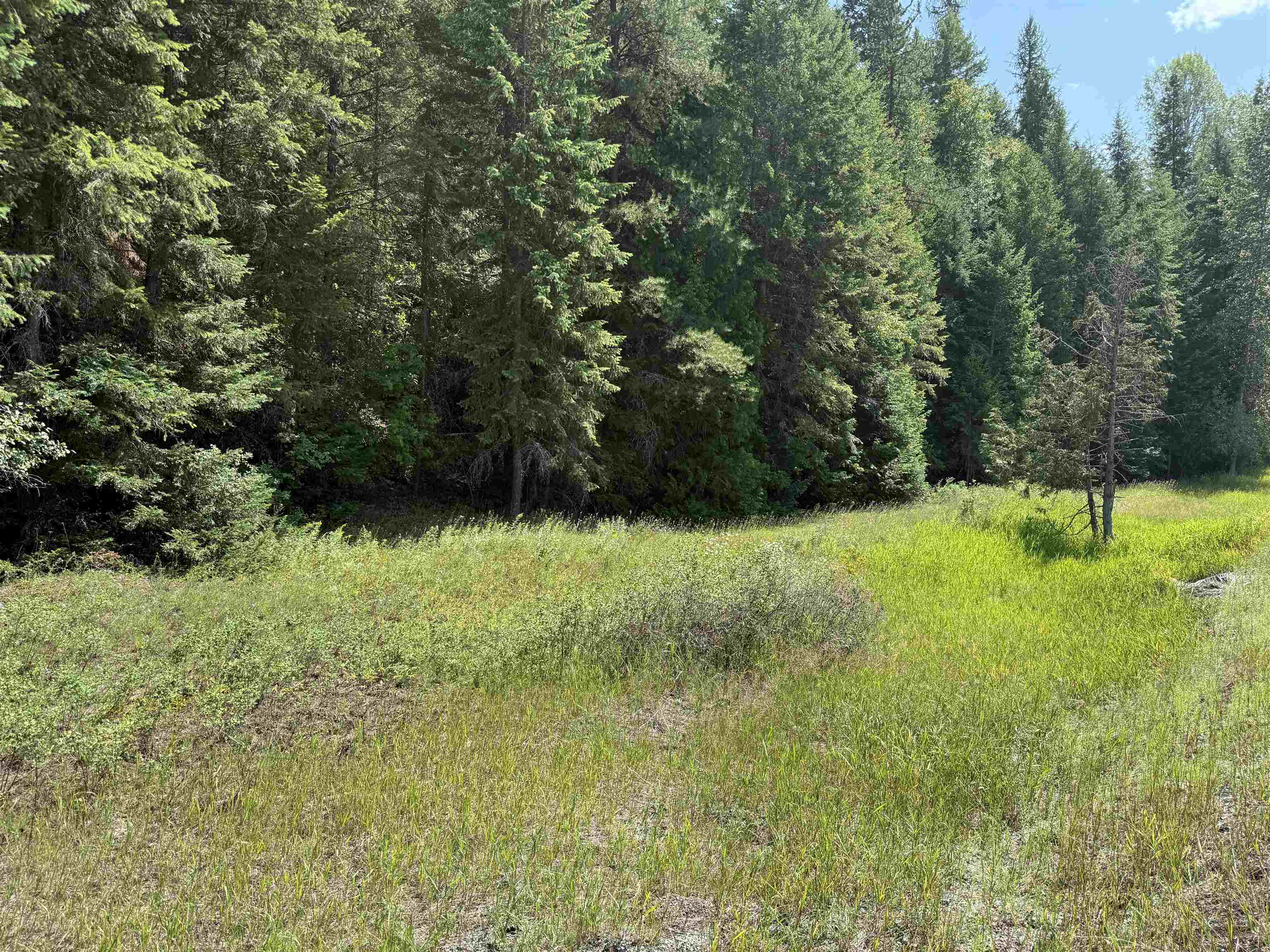 3516 Deep Lake Boundary Road Colville, WA 99114 - Photo 22 of 27 Gallery Image 22