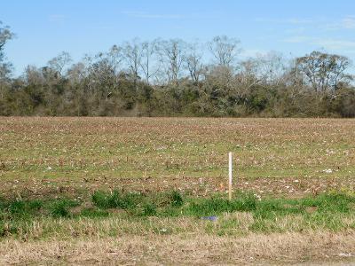 Lot 10 West Cook Road Dothan, AL 36301 - Photo 1 of 2
