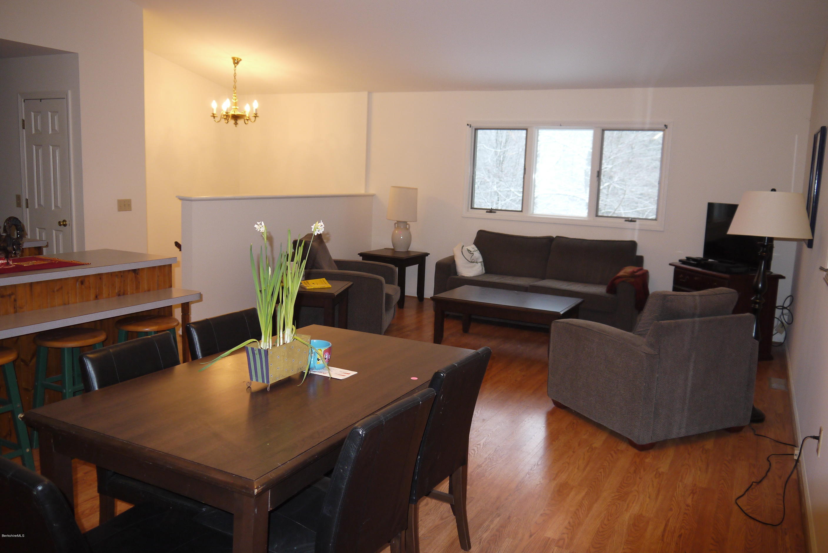 467 Under Mountain Road Lenox, MA 01240 - Photo 5 of 20 Living / Dining
