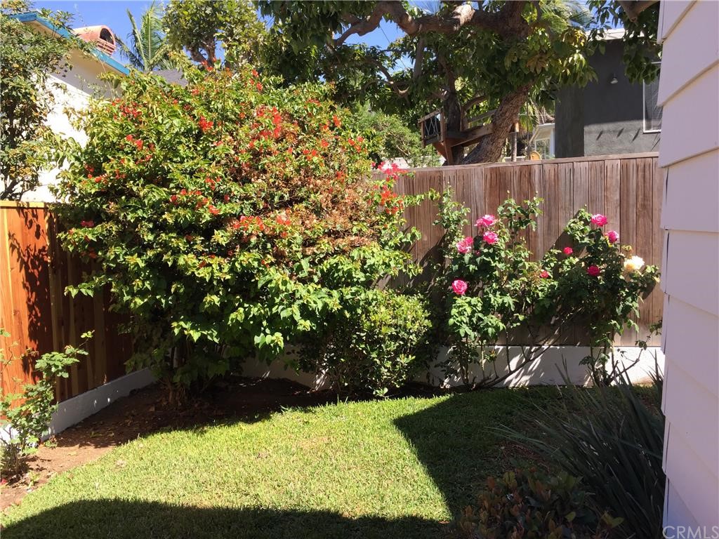 3401 Pine Avenue Manhattan Beach, CA 90266 - Photo 23 of 24 a view of yard with flowers