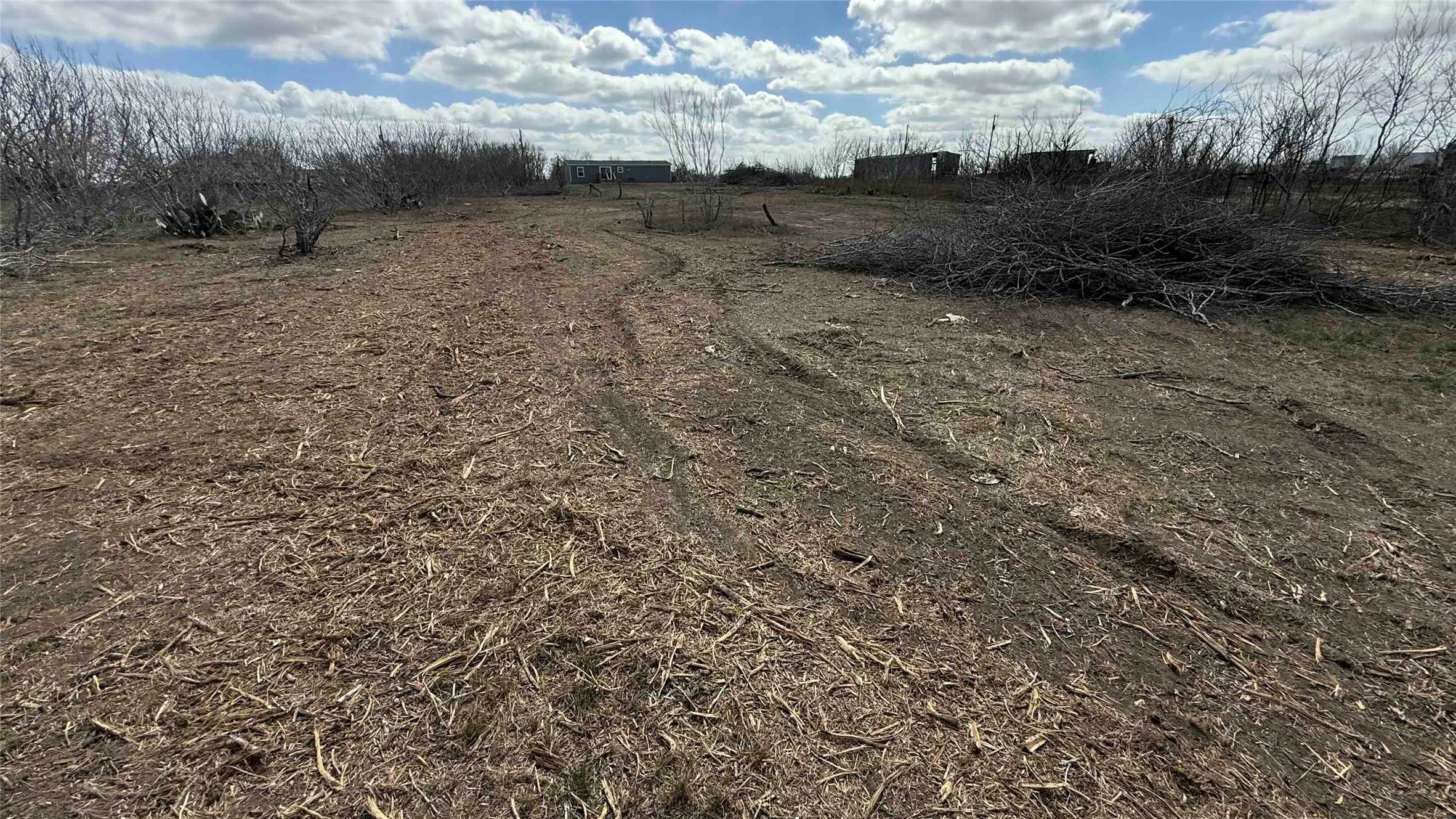 135 Spanish Oak Road Dale, TX 78616 - Photo 28 of 30 a view of outdoor space with green space