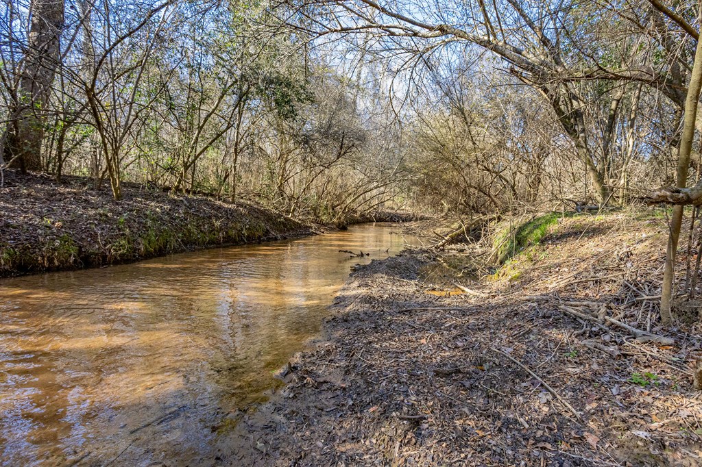 0 Bruner Pond Road Ashford, AL 36312 - Photo 29 of 30