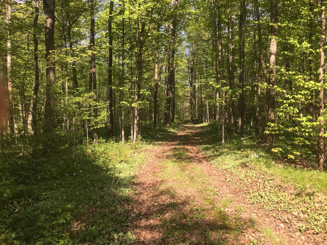 On Johnson Road Antigo, WI 54409 - Photo 11 of 14 Gallery Image 11