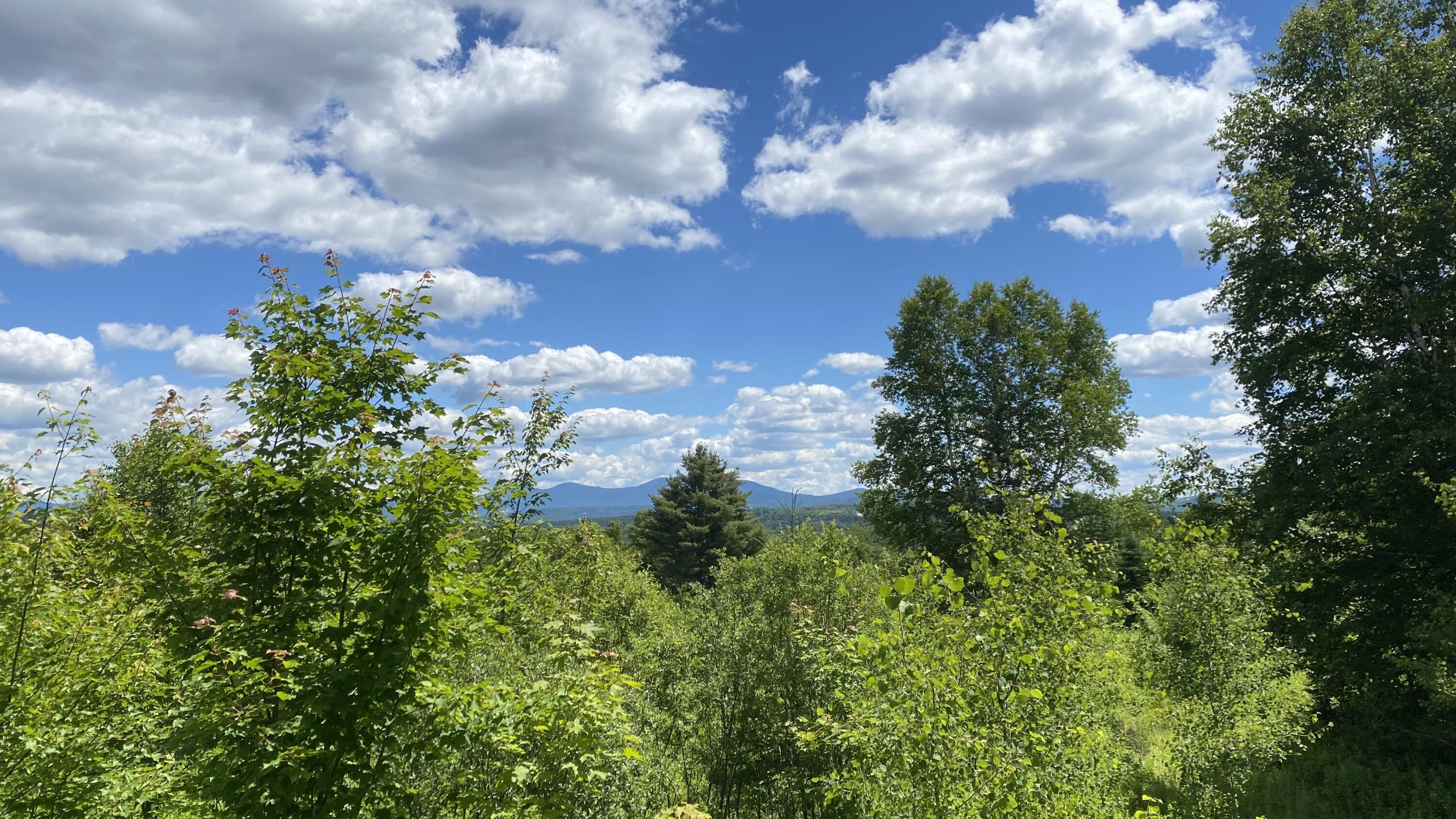 36 D Quimby Pond Road Rangeley, ME 04970 - Photo 4 of 9 1