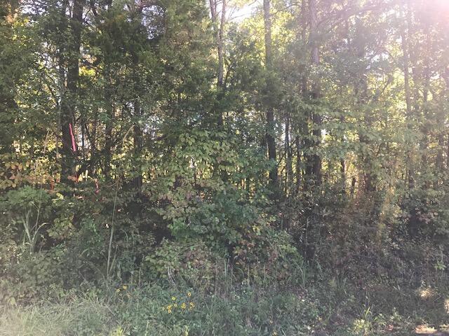 30 Pinhook Road Calhoun, TN 37309 - Photo 3 of 10 Chestuee 30 2
