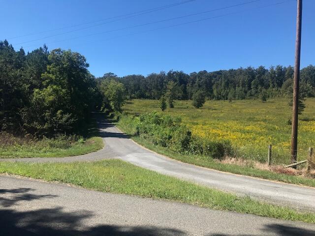 30 Pinhook Road Calhoun, TN 37309 - Photo 8 of 10 Chestuee 30 road view 2