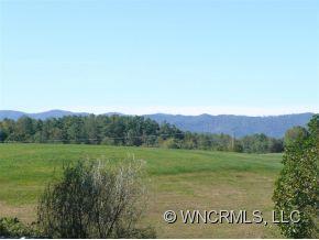 23 Tipton Hill Road Leicester, NC 28748 - Photo 3 of 12 Gallery Image 3