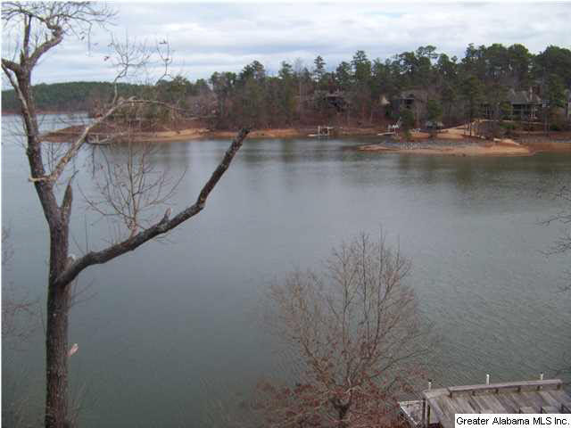 232 Ridgeview Point Alexander City, AL 35010 - Photo 10 of 30