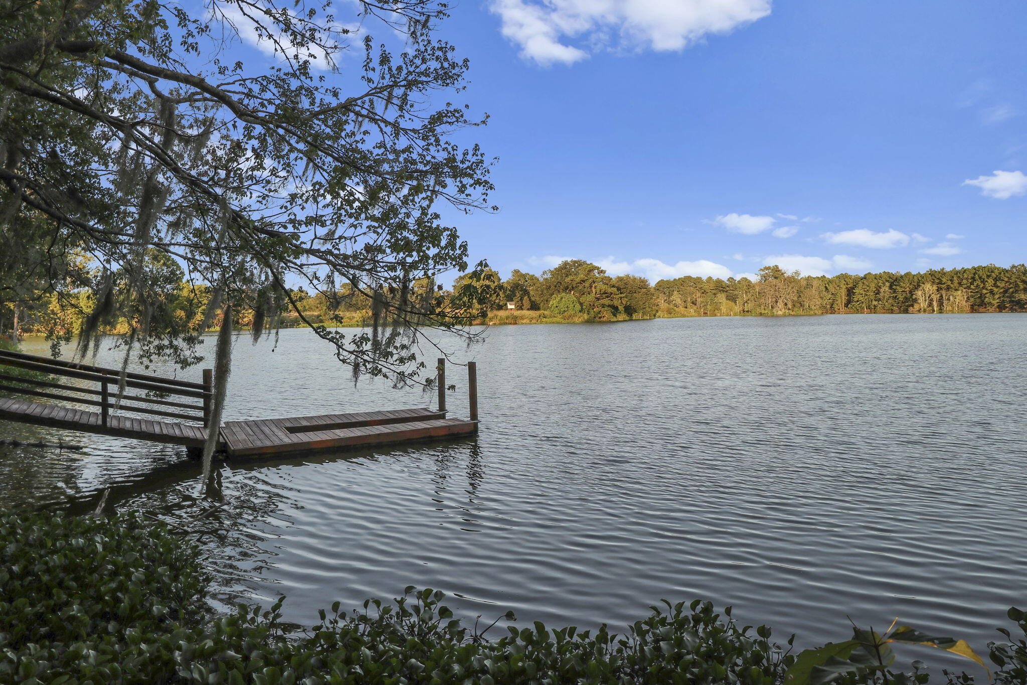 1020 Arrowwood Way Summerville, SC 29485 - Photo 52 of 58 97-web-or-mls-IMG_1935