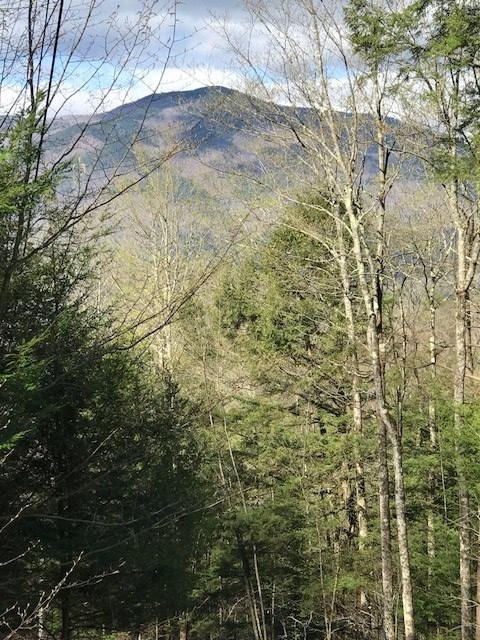880 Town House Road Cornish, NH 03745 - Photo 12 of 13