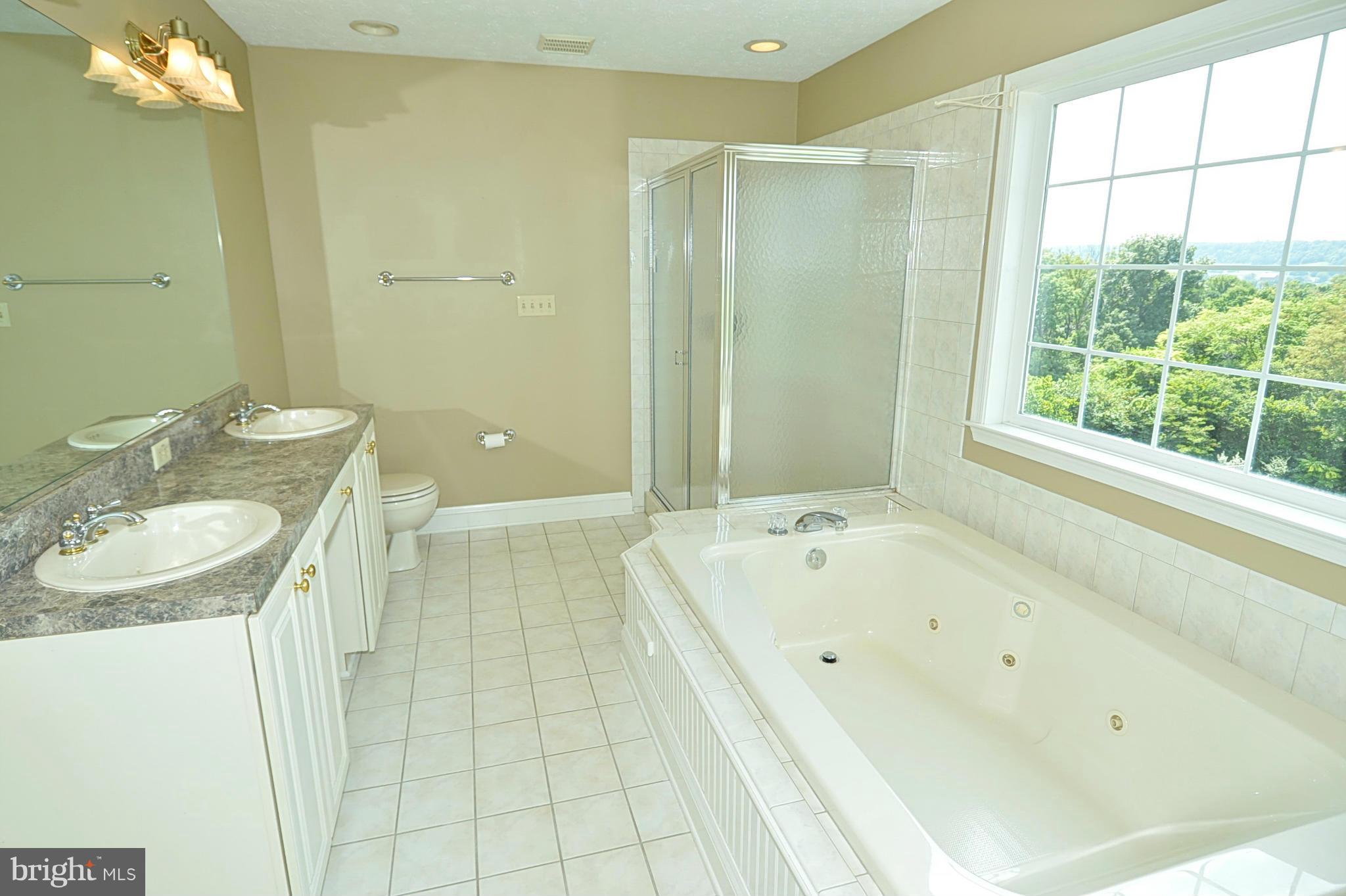 1231 Apple Pie Ridge Road Winchester, VA 22603 - Photo 14 of 30 Bath (Master)