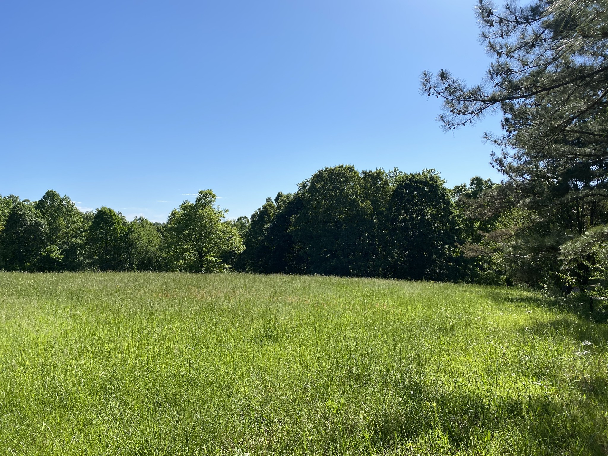 2 Shannon Road Leoma, TN 38468 - Photo 1 of 3