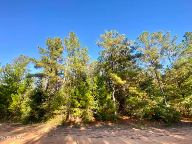 $15,000 | Lot 9 Adams Drive, Alford, FL 32420