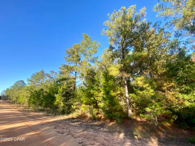 $15,000 | Lot 9 Adams Drive, Alford, FL 32420