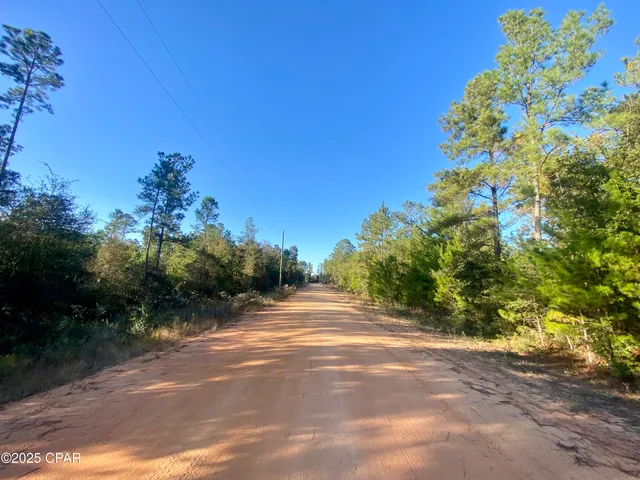 $15,000 | Lot 9 Adams Drive, Alford, FL 32420