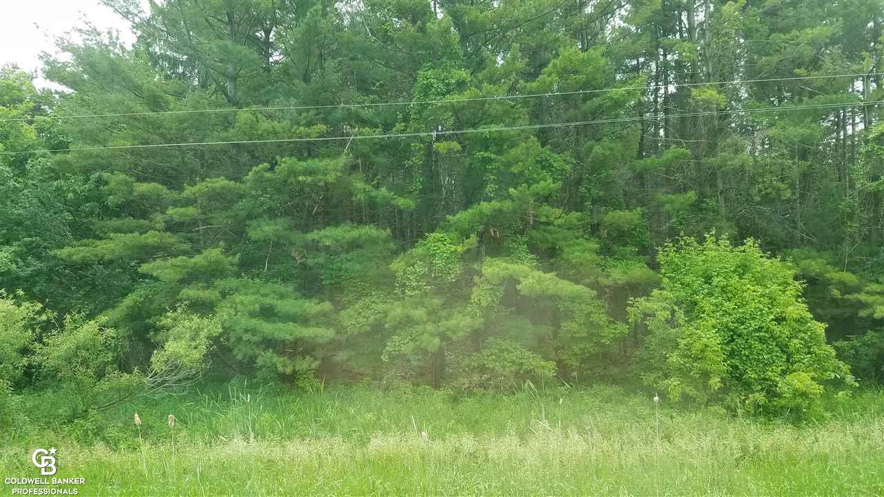 Palms Ville Palms, MI 48465 - Photo 8 of 13