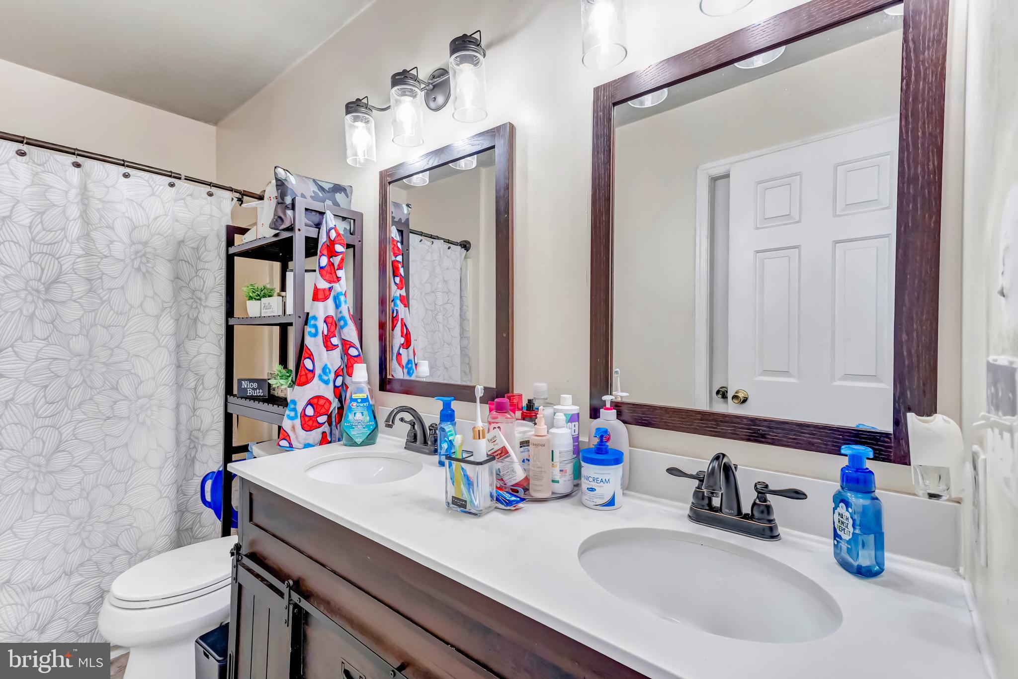 4925 Campground Road Eden, MD 21822 - Photo 14 of 42 a bathroom with a sink vanity mirror and toilet