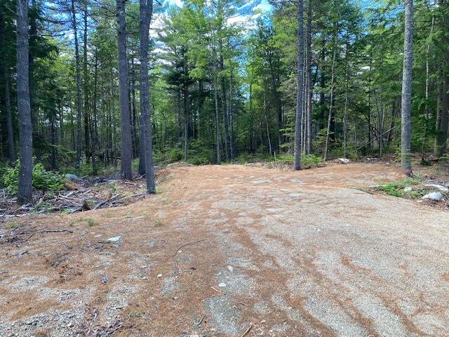 0 Front Ridge Road Penobscot, ME 04476 - Photo 11 of 14 IMG_3264