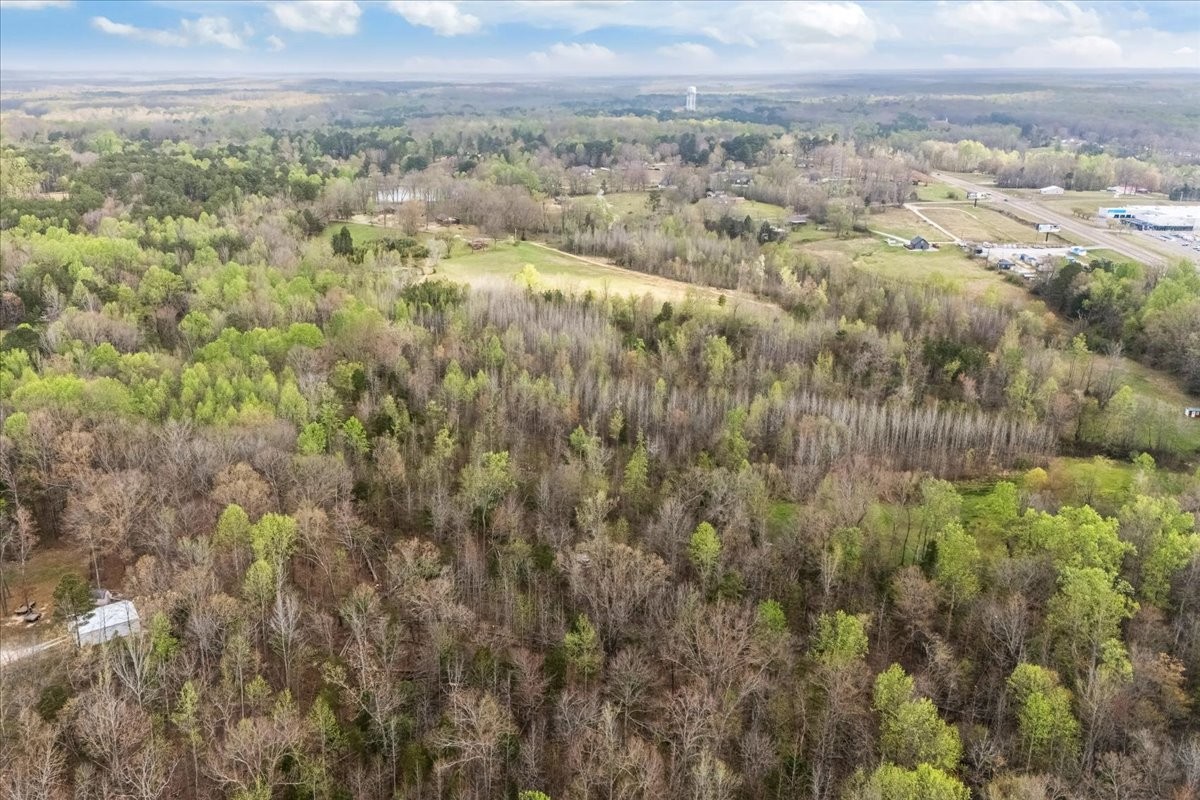 1759 McKelvy Road Camden, TN 38320 - Photo 14 of 20 a view of a city with lush green forest