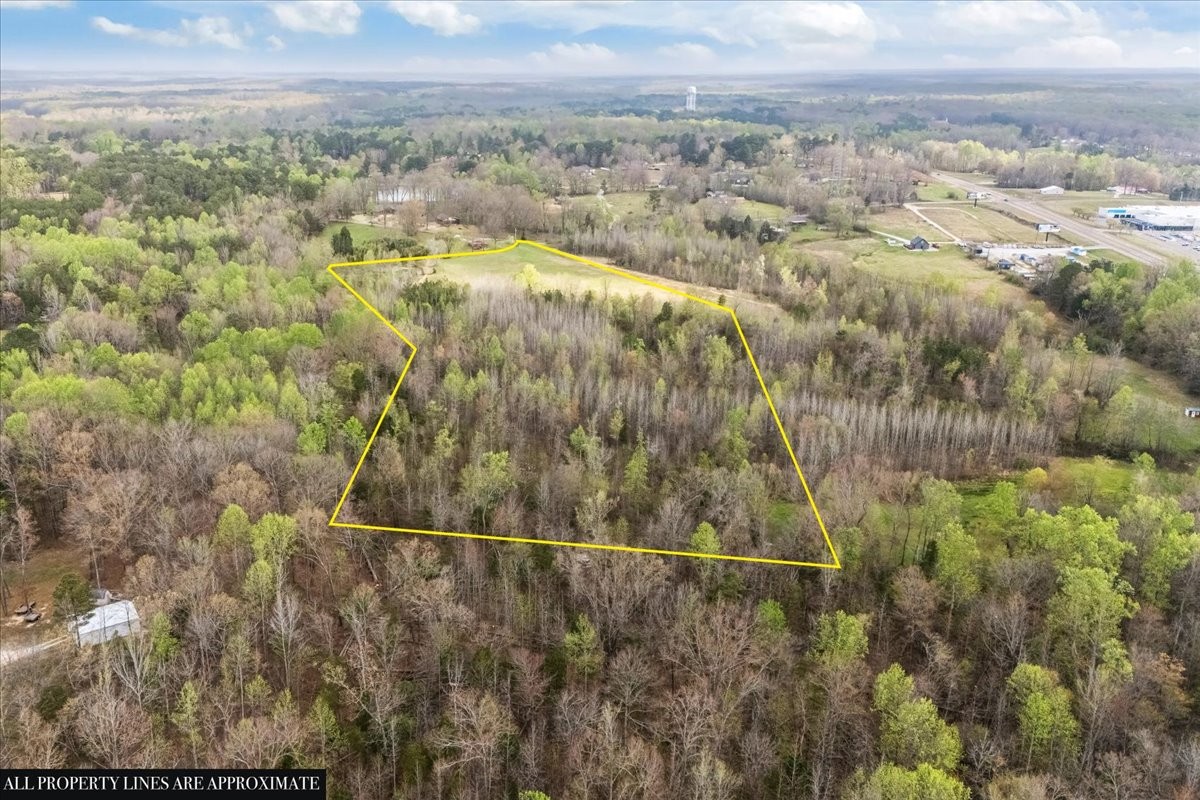 1759 McKelvy Road Camden, TN 38320 - Photo 15 of 20 a view of a forest