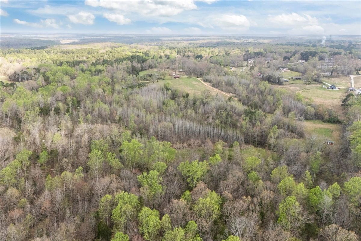 1759 McKelvy Road Camden, TN 38320 - Photo 16 of 20 a view of a yard