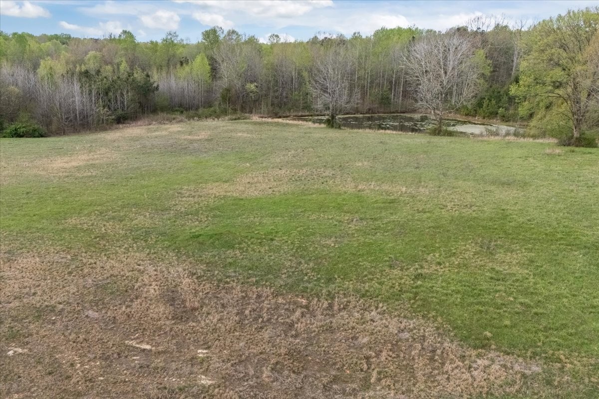 1759 McKelvy Road Camden, TN 38320 - Photo 3 of 20 a view of a field with trees in the background